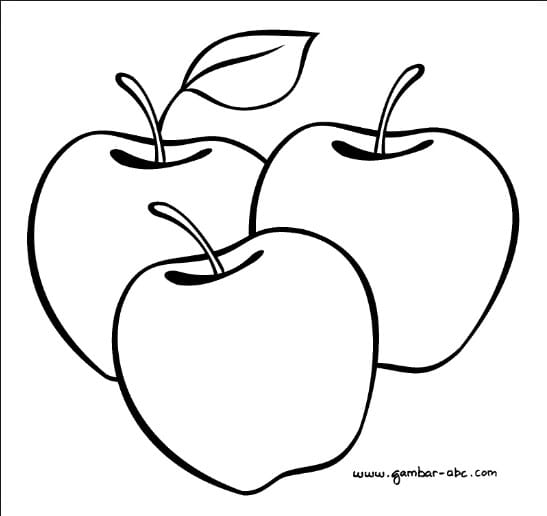 gambar sketsa buah apel