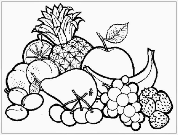 gambar sketsa buah