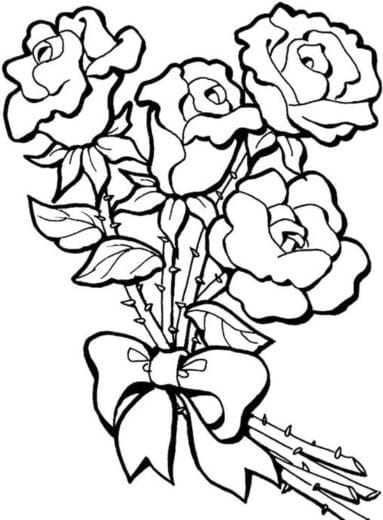 gambar sketsa bunga mawar