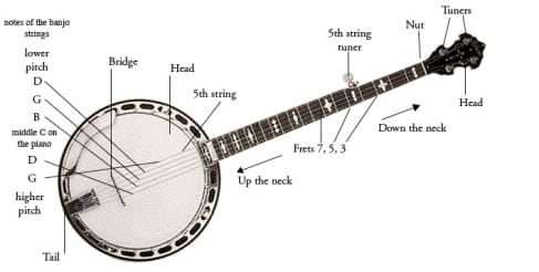 gambar alat musik petik banjo