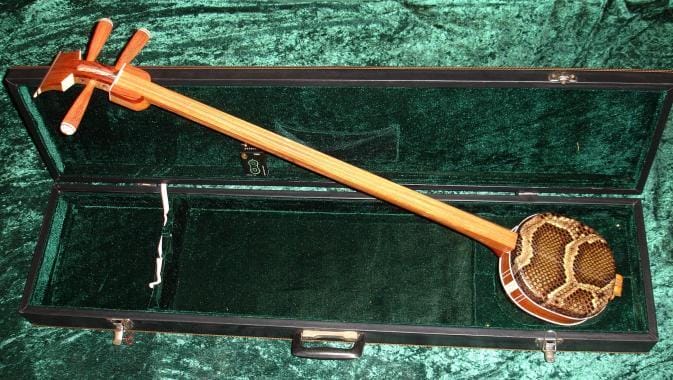 gambar alat musik petik tradisional