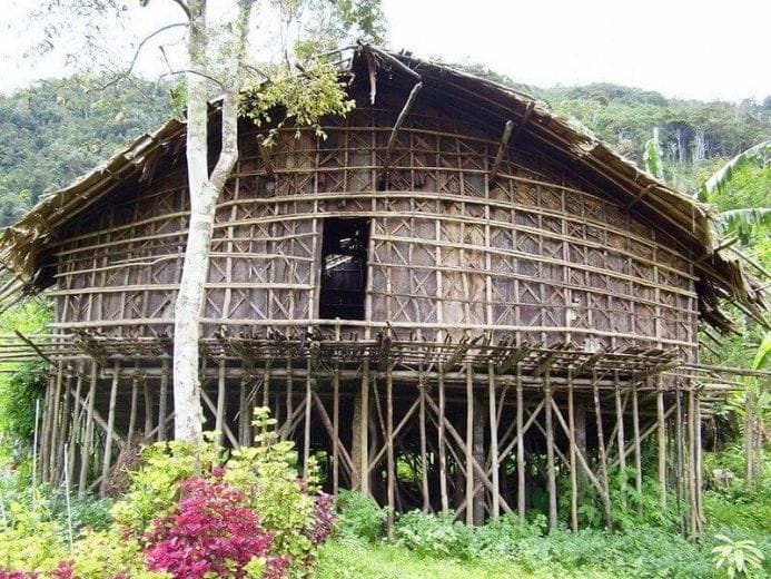 Rumah adat Provinsi Papua